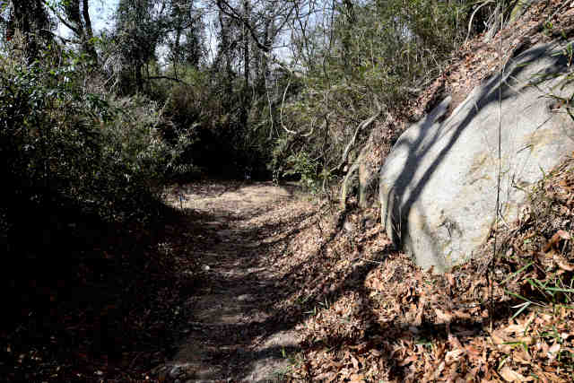 �k�l��������̓���s���H