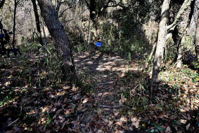 �k�l���ӂ��ݑ䕪��