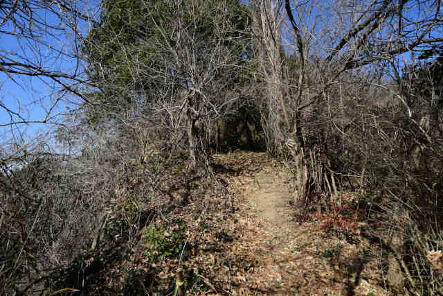 �k�l���ӂ��ݑ�s���H�O