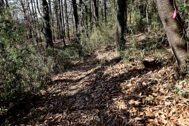 �k�l����t�l�O�����O