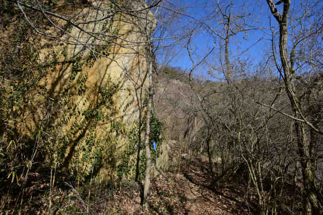 �k�l����イ�����O