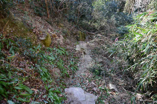 �k�l����イ���L���