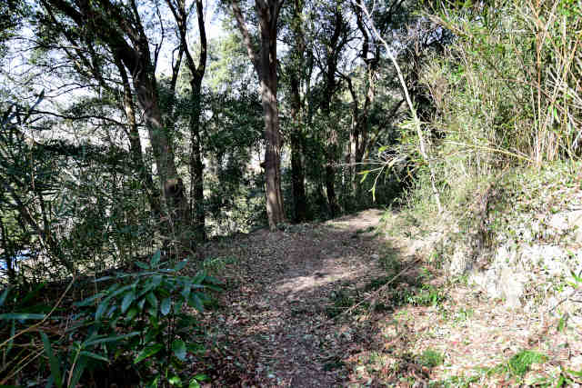 �k�l���L����