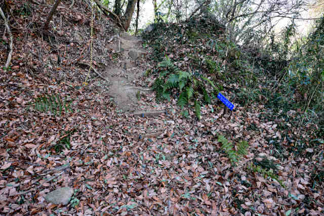 �k�l����イ���W�]�����