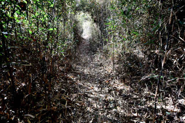 �k�l���V�m�_�P�g���l��