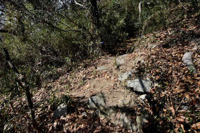 �k�l�����z�K���ܕ���