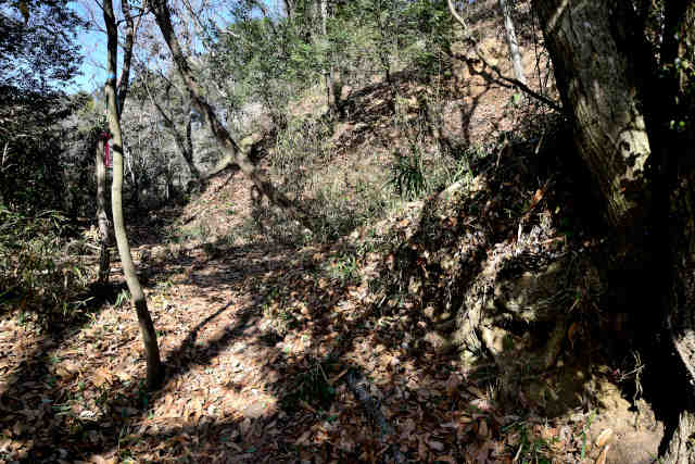 �k�l���z�K��