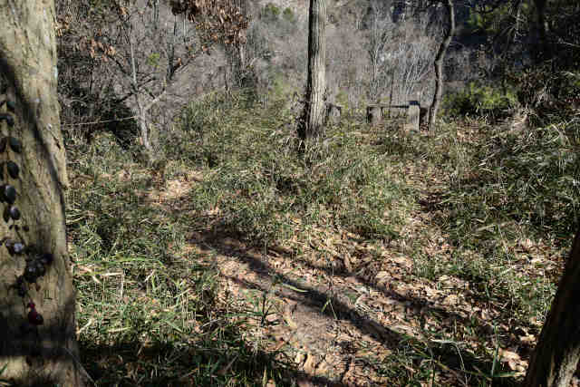 �k�l�����ʋx�e��