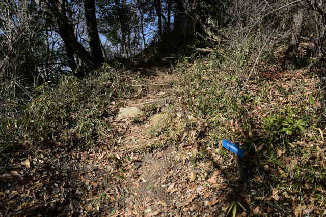 �k�l���x�e���܂�Ԃ�