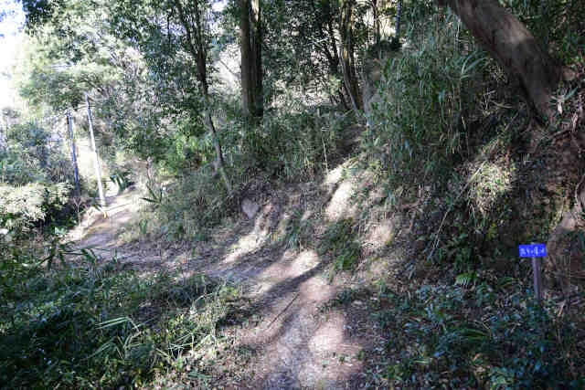 �k�l���Ԃ��Ȃ���ʓ�