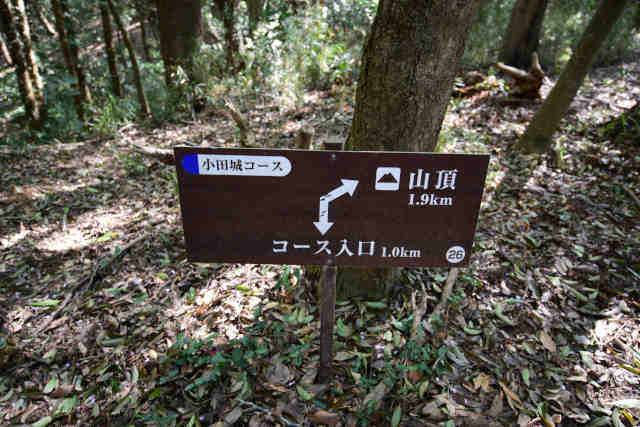 ���c��26�W