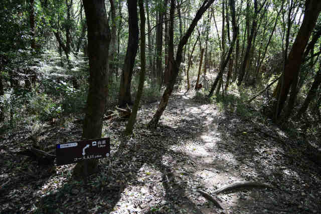 ���c��26�W�O