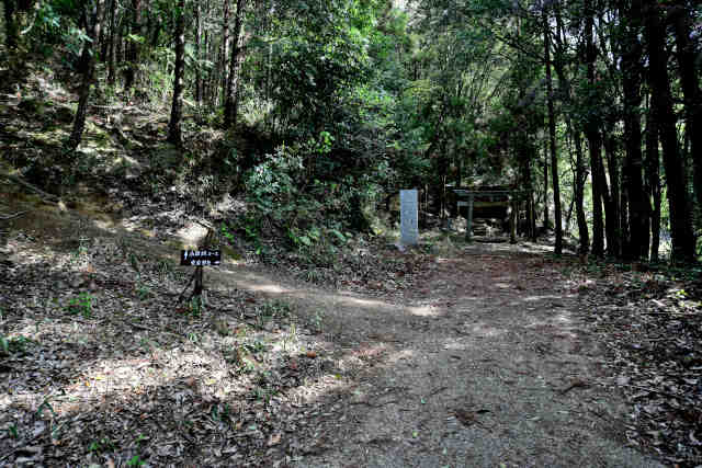 ���c�鈤���_�БO