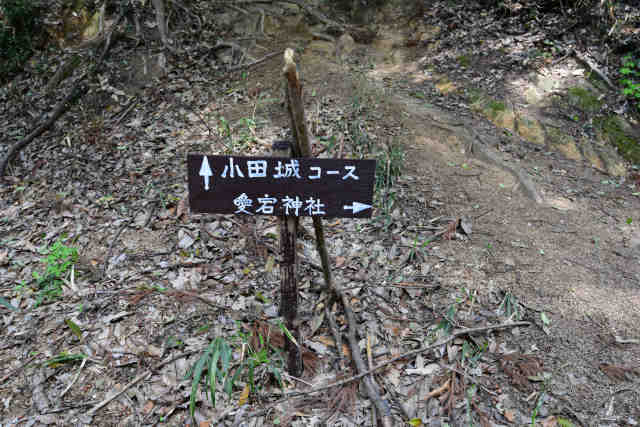 ���c�鈤���_�БO�ē��W