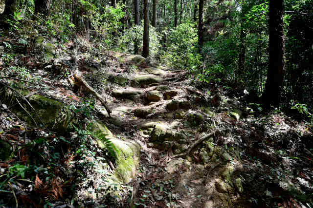 ���c�鈤���_�Е����