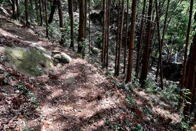 ���c�鈤���_�Џ�