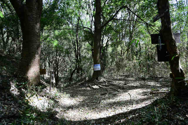 ���c�钆����̓�����