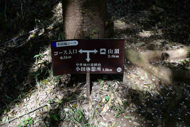 ���c�钆����̓�����ē�