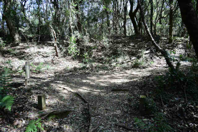 ���c�钆����̓�����捇��