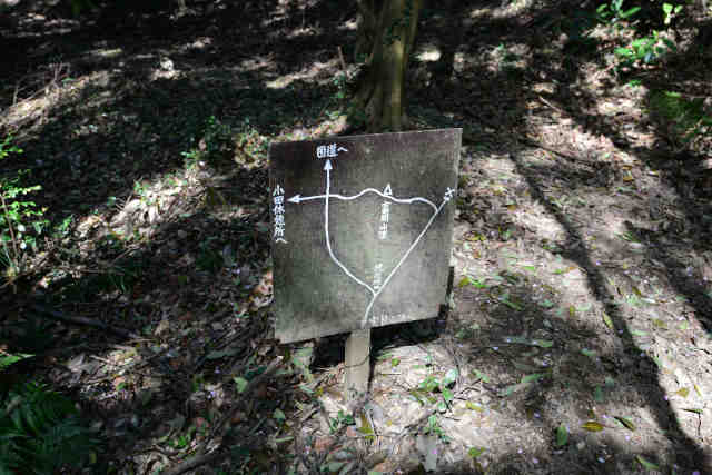 ���c�钆����̓�����捇���ē��W