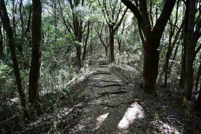 ���c��n�̔w