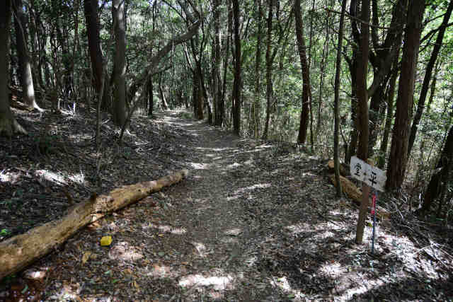 ���c�铰��