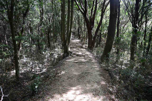 ���c�铰�������