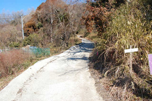八幡神社鳥居の脇の道路