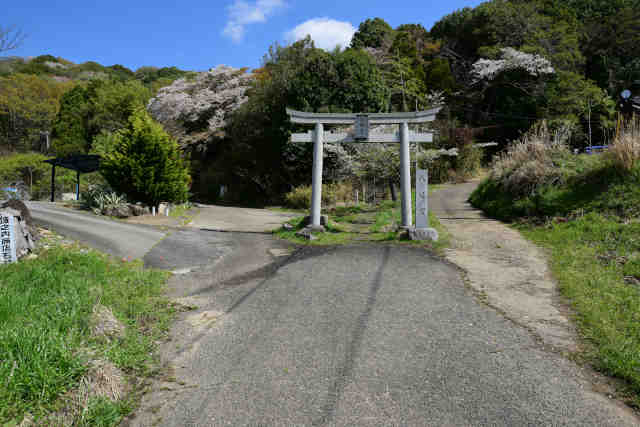 ���c�鏬�c�����O