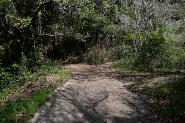 ���c�鏬�c������