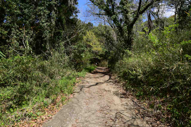 ���c�鏬�c�����e