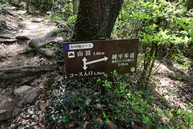 ���c�鏃����������ē��W