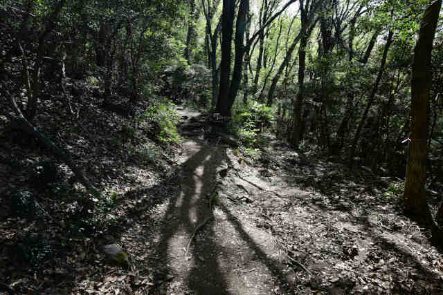 ���c�鏃����������