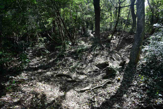 ���c�铇�o�R��