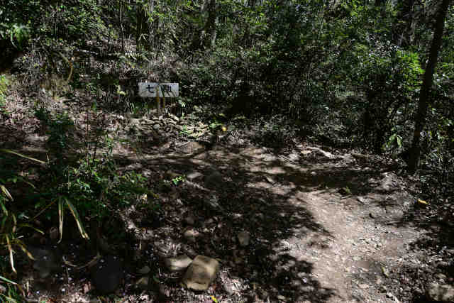 ���c�鎵��