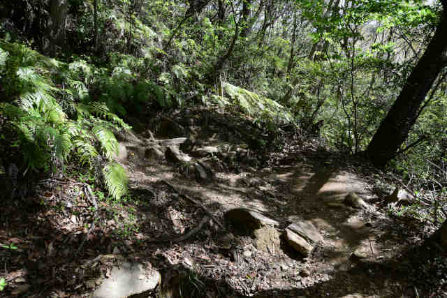 ���c�鎵�Ȑ΃J�[�u