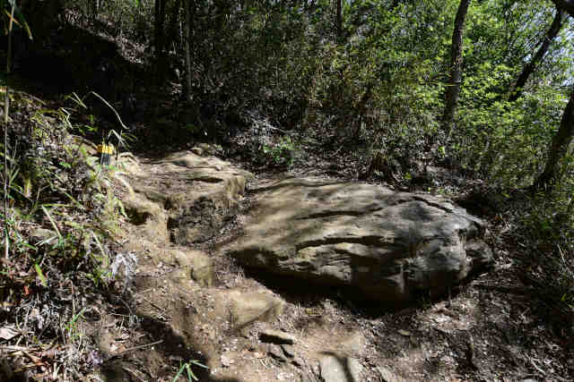 ���c�鎵��