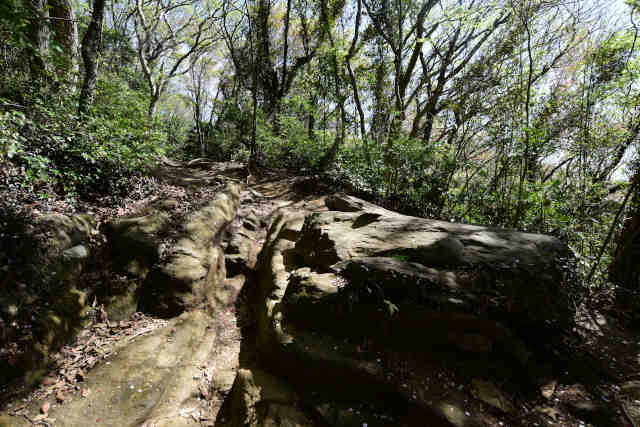 ���c�鎵�Ȑ�o�R����