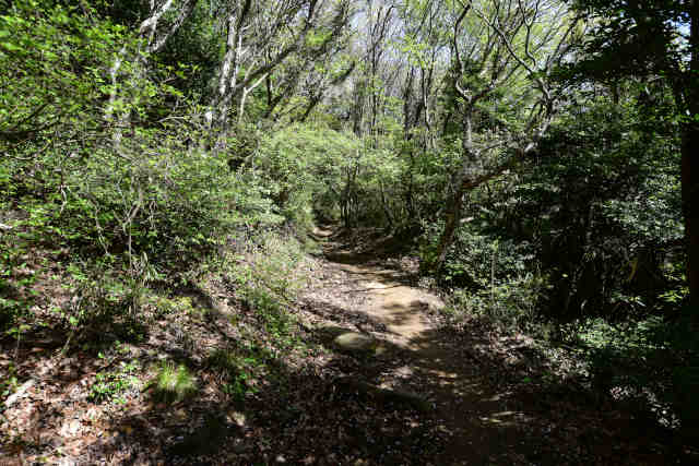 ���c�鎵�Ȑ撼��