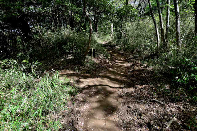 ���c���􃋁[�g����