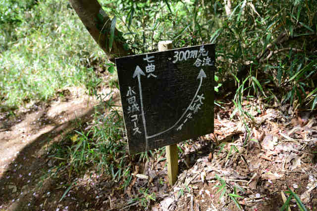 ���c���􍇗��ē��W