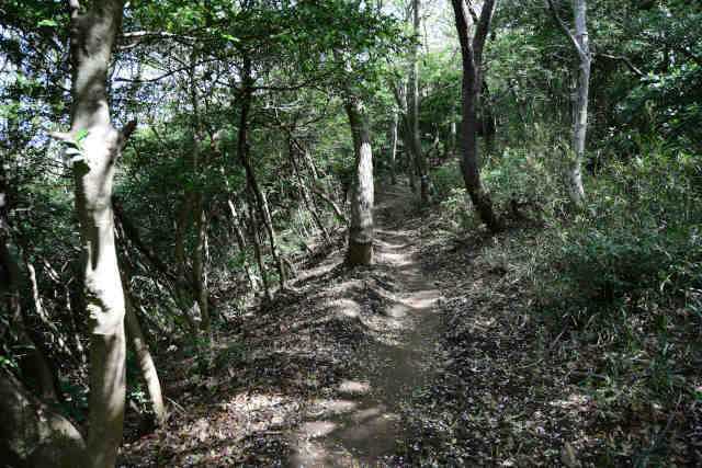 ���c�钼��