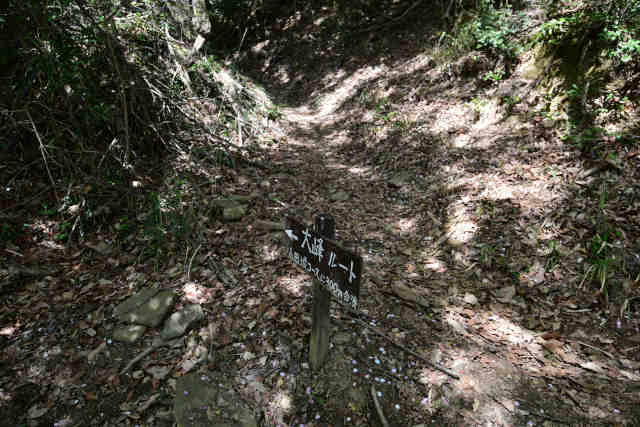 ���c���􃋁[�g����