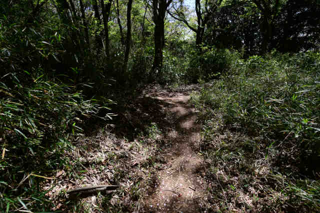 ���c���􃋁[�g����