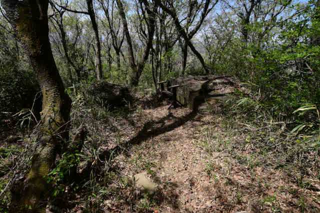 ���c��W�]��