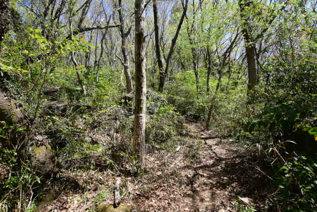 ���c���􃋁[�g�o�R��