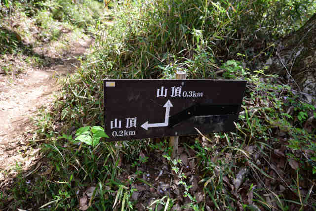 ���c��T�u�R�[�X����ē��W