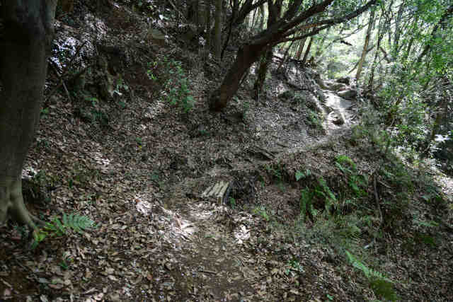 ���c��o�R����