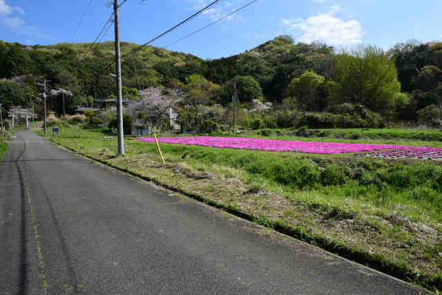 ���c��ō�