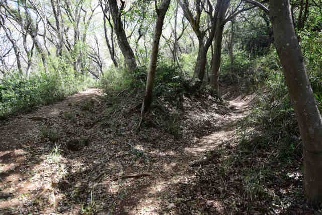 ���c�铇����